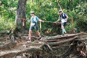 BIB: 
                            <button type="button" onclick="openModal(27554807)" class="btn btn-primary btn-sm float-right btn-popup" data-toggle="modal" data-target=".modal-high-quality">
                        <i class="fas fa-shopping-cart"></i> Add to Cart
                    </button>
                                            <button type="button" onclick="isThisMe(27554807, true)" class="btn btn-success btn-sm float-right btn-popup btn-isme hidden" data-toggle="tooltip" data-placement="bottom" title="นี่คือรูปของคุณใช่ไหม คลิกที่นี่เพื่อเอาเข้าอัลบั้ม">
                        <i class="fas fa-plus"></i> Add to album
                    </button>
                    <button type="button" onclick="isThisMe(27554807, false)" class="btn btn-warning btn-sm float-right btn-popup btn-isnotme hidden">
                        <i class="fas fa-ban"></i> Remove from album
                    </button>